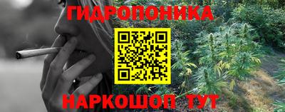mdpv Кингисепп