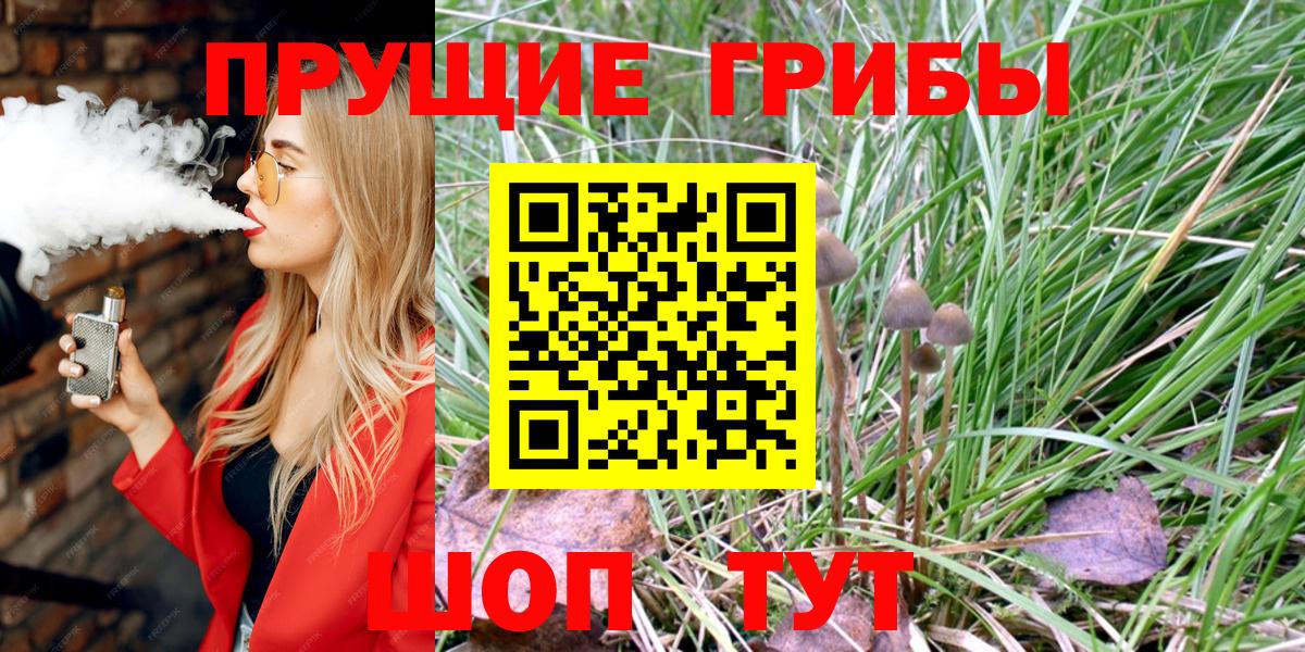 Куйбышев  Псилоцибиновые грибы мицелий  Вход с VPN 