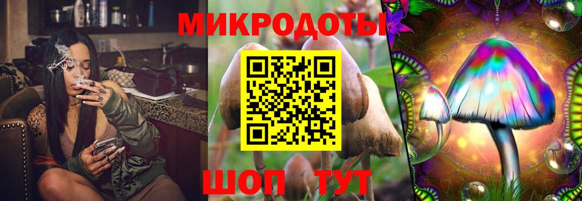 Псилоцибиновые грибы мухоморы Куйбышев